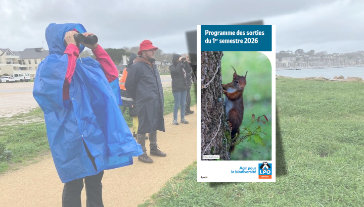 Le nouveau programme des sorties 2026 - Semestre 1 est disponible !